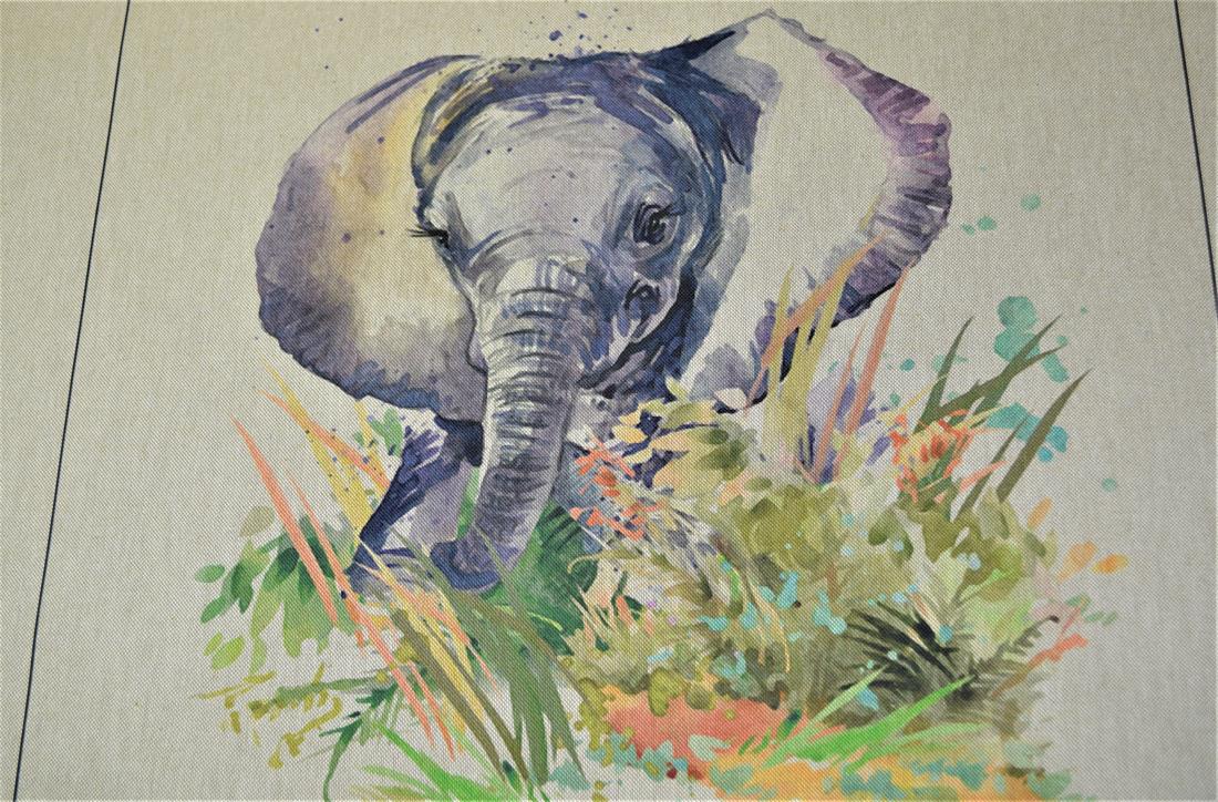 Printed Digital Canvas Fabric