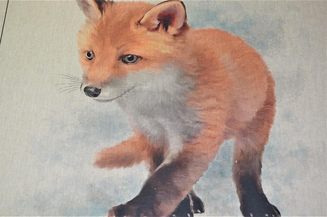 Printed Digital Canvas Fabric