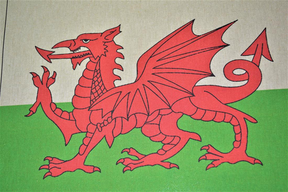 Natural Welsh Dragon Printed Digital Canvas Fabric