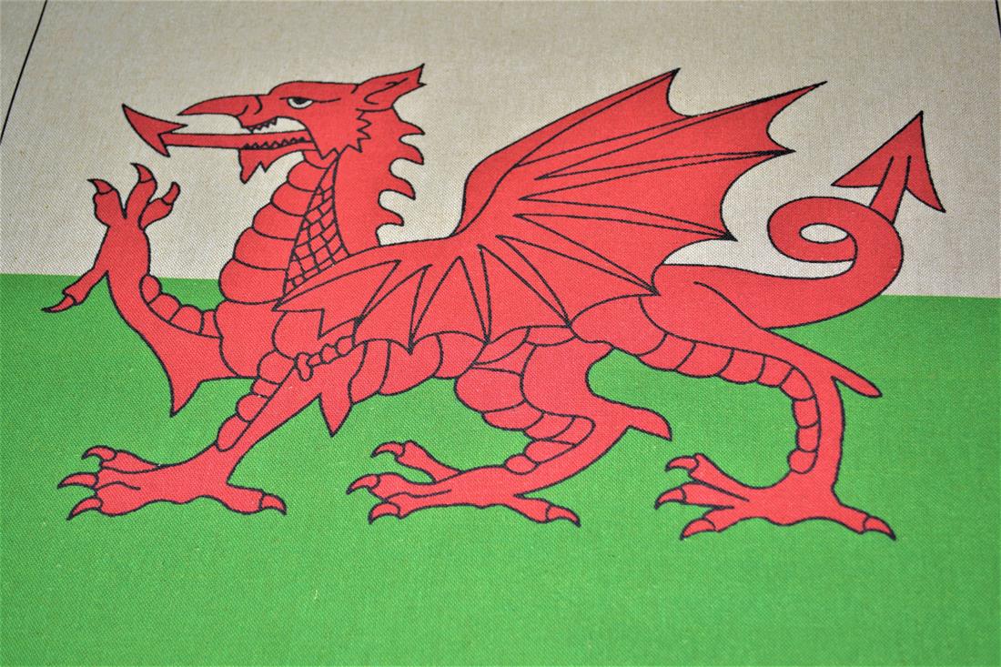 Natural Welsh Dragon Printed Digital Canvas Fabric