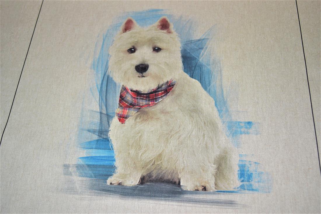 Natural Printed Digital Canvas Fabric