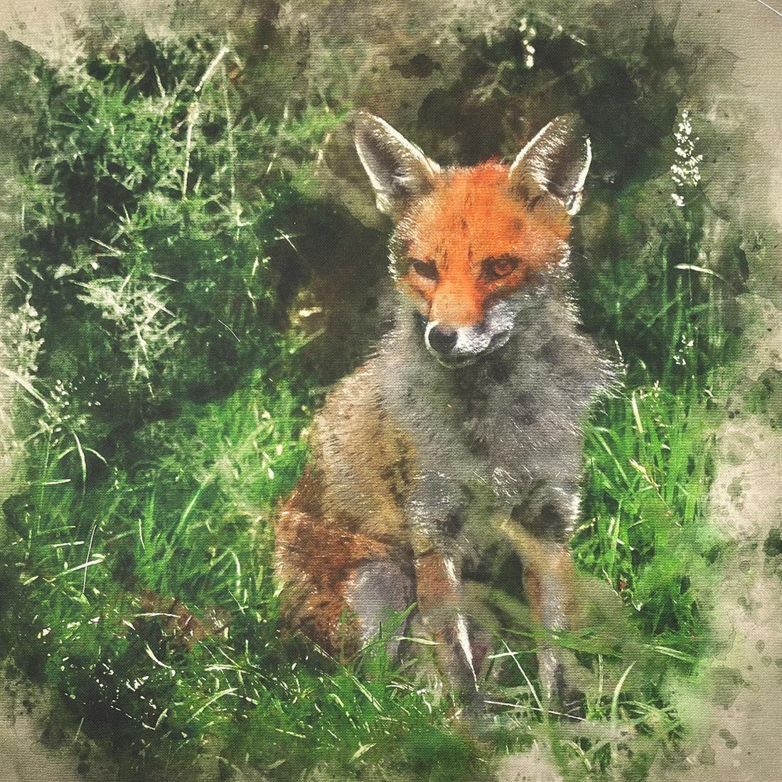 Fox Printed Digital Canvas Fabric