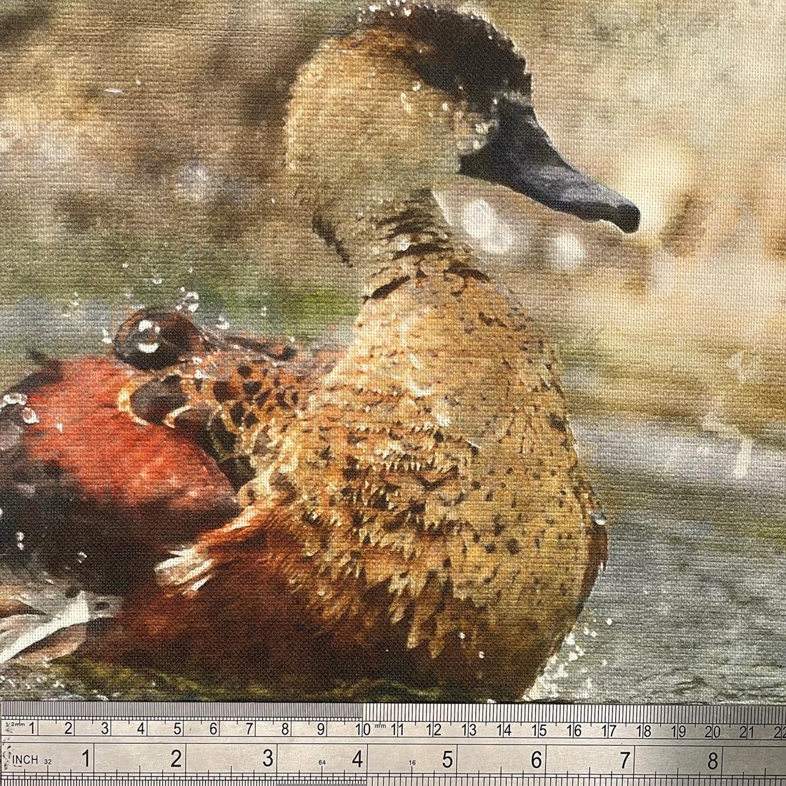 Duckling Printed Digital Canvas Fabric
