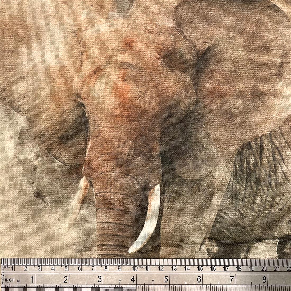 Elephant Printed Digital Canvas Fabric