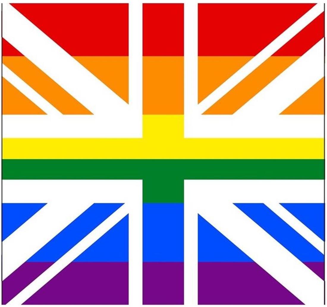 Union Jack Panel Rainbow Animal Cushion