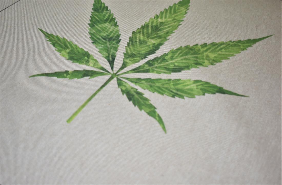Natural Hemp Leaf Panel -Printed Digital Canvas Fabric