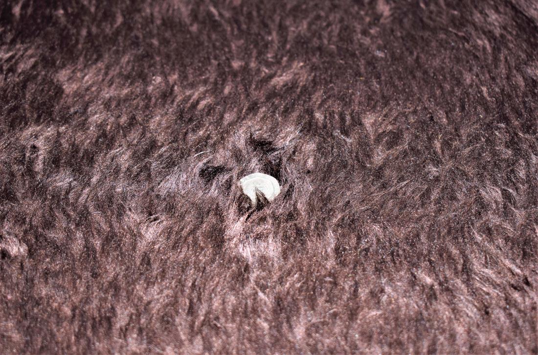 Brown Super Plain Pile Animal Faux Fur Fabric