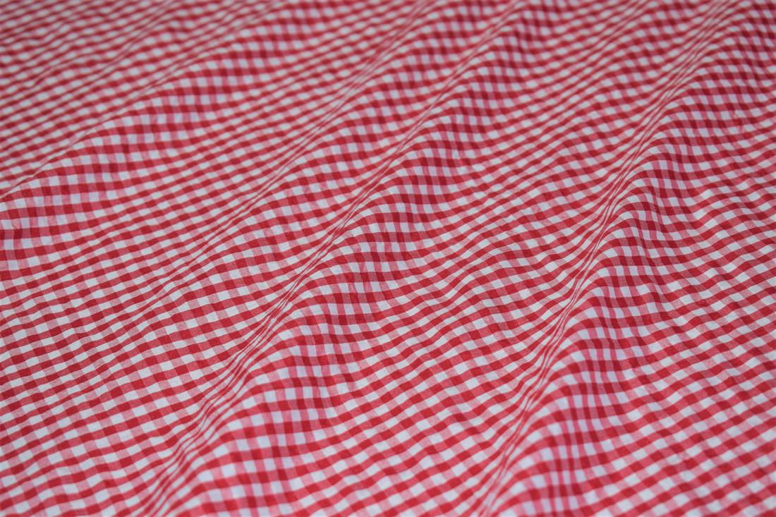 Gingham Print Gauze Fabric