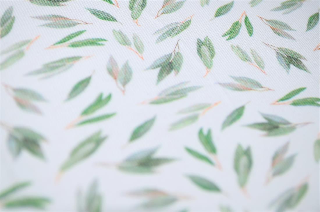 White & Green Printed Cotton Jersey