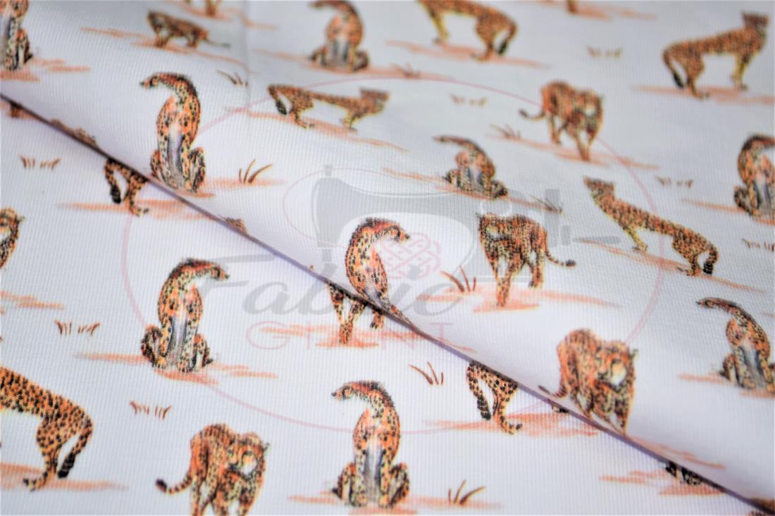 White & Orange Printed Cotton Jersey
