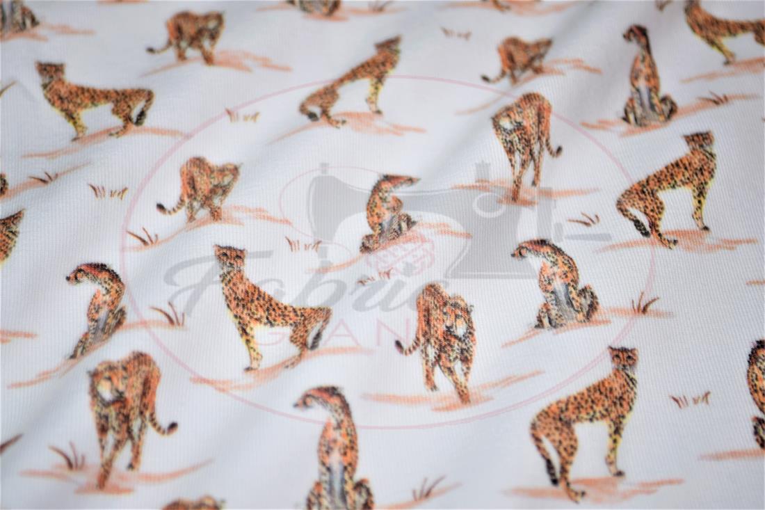 White & Orange Printed Cotton Jersey