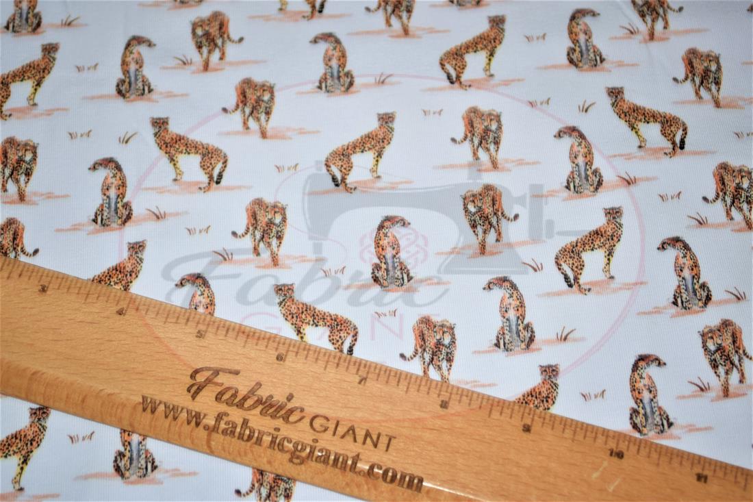 White & Orange Printed Cotton Jersey