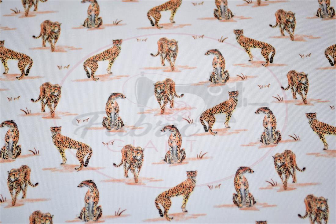 White & Orange Printed Cotton Jersey