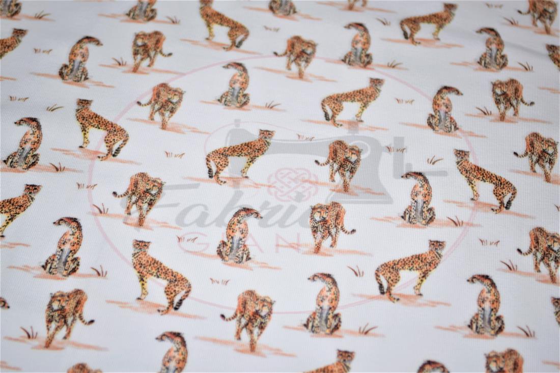 White & Orange Printed Cotton Jersey