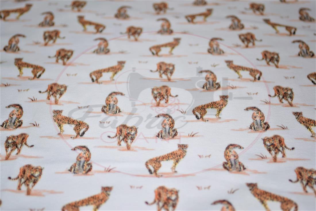 White & Orange Printed Cotton Jersey