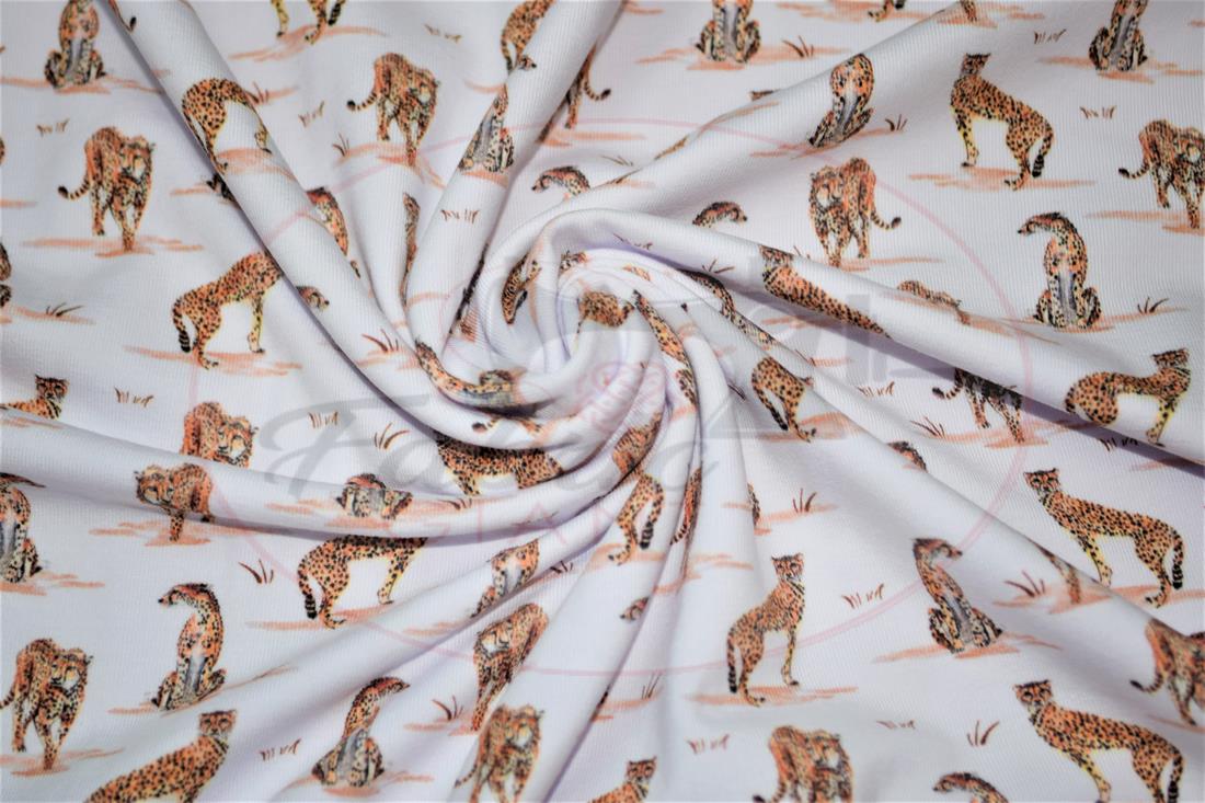 White & Orange Printed Cotton Jersey