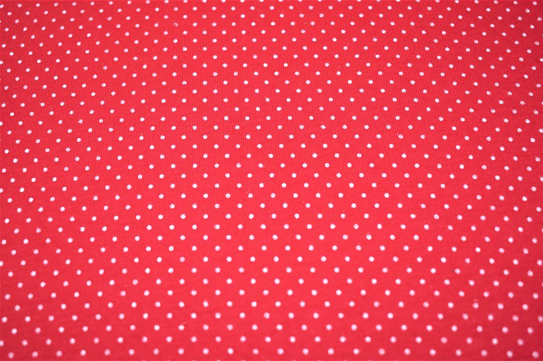 Red & White Printed Jersey Fabric
