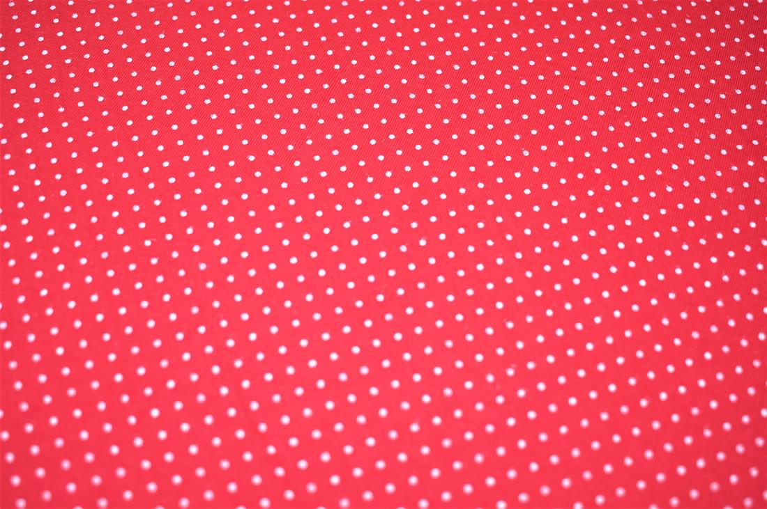 Red & White Printed Jersey Fabric
