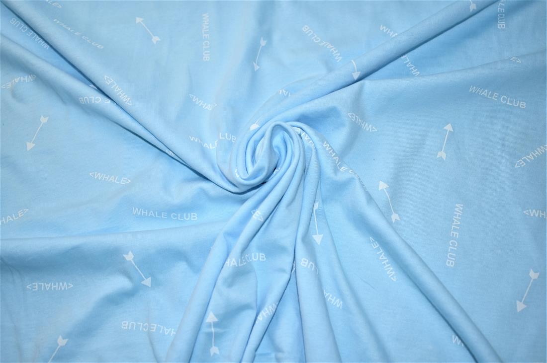 Blue Printed Jersey Fabric
