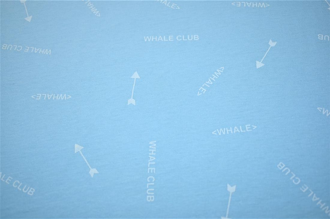 Blue Printed Jersey Fabric