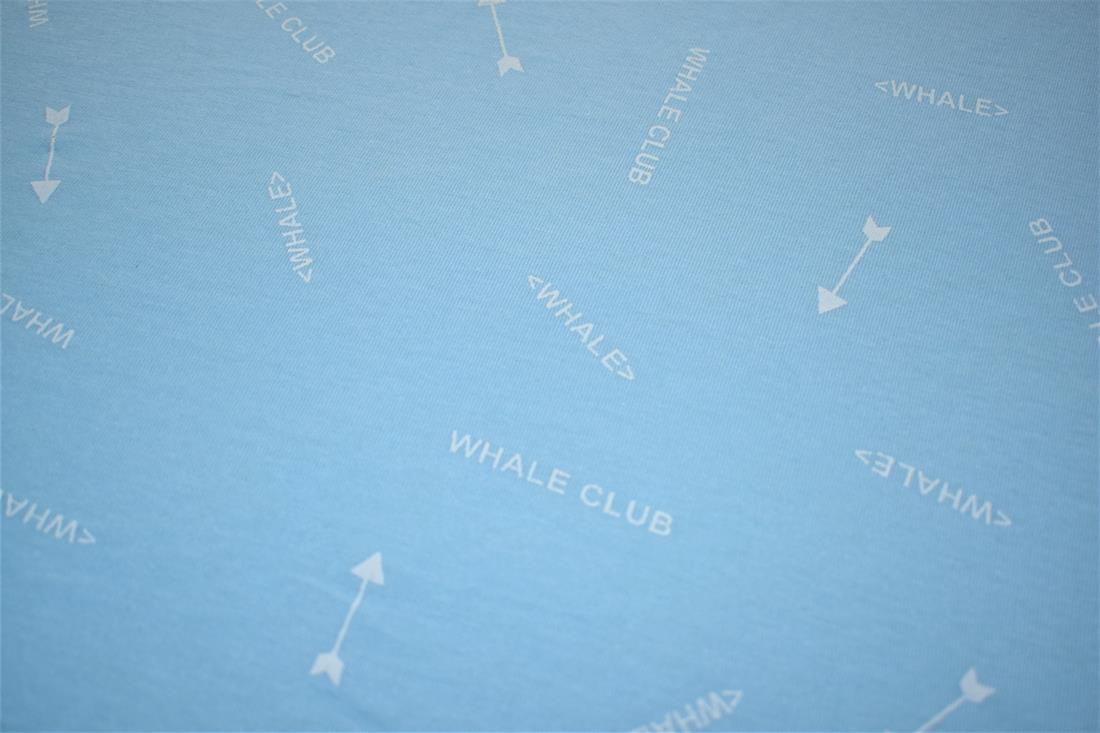 Blue Printed Jersey Fabric