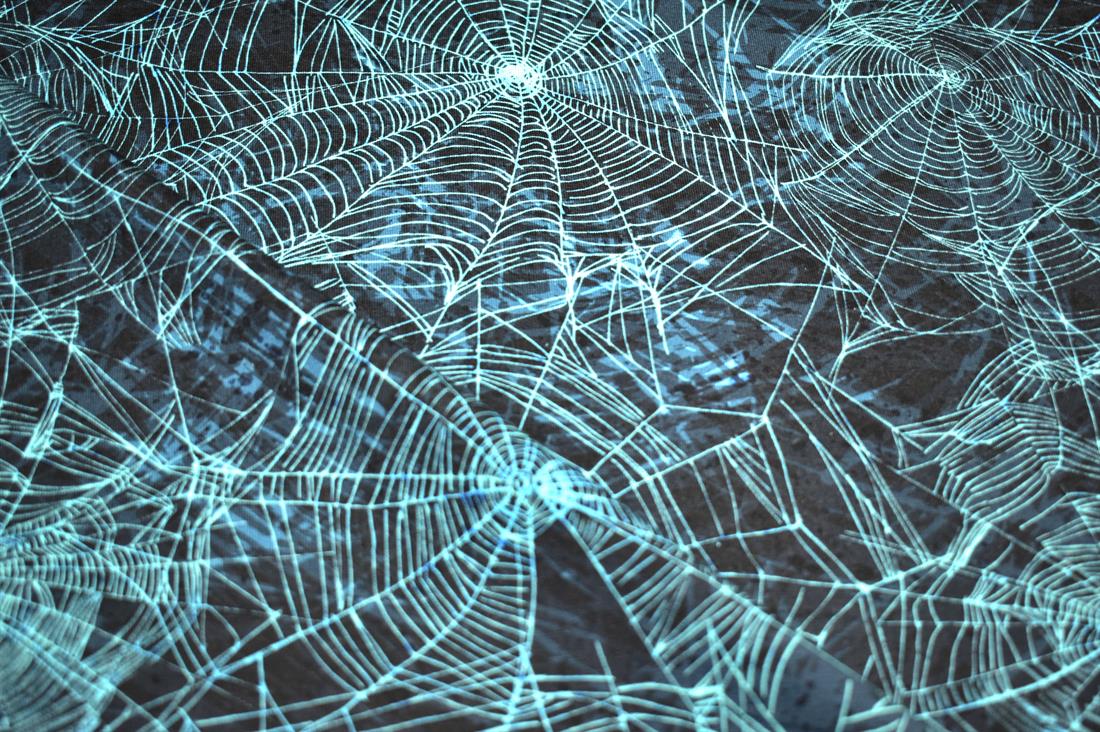 Black & Turquoise Little Johnny Neon Spider Web Jersey