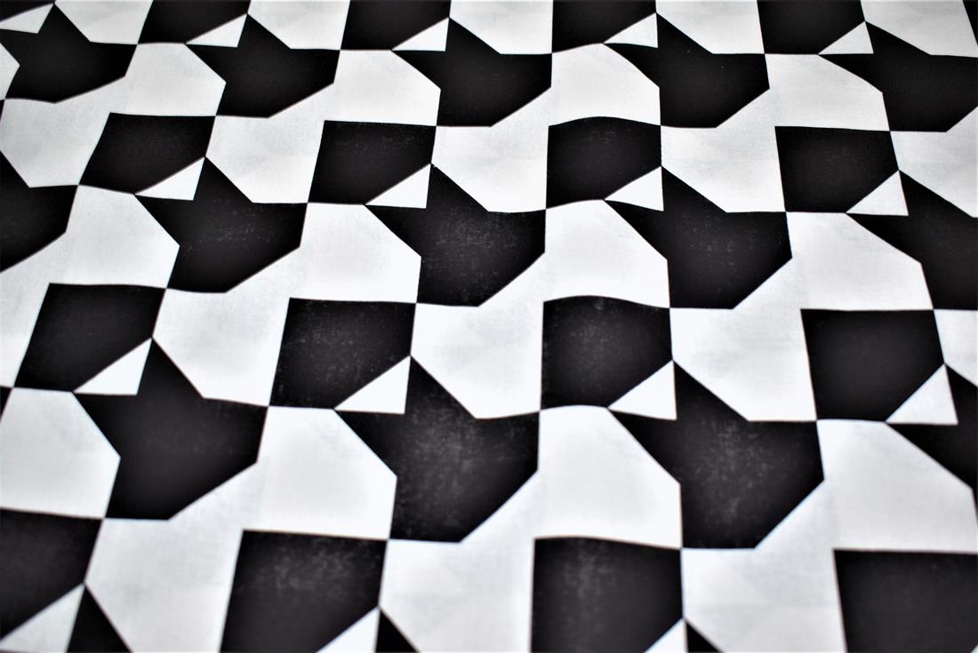 Black & White Printed Polycotton Fabric