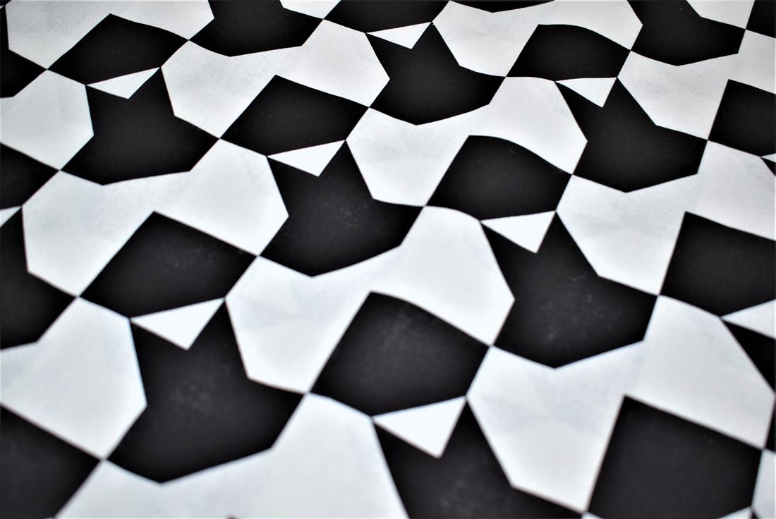 Black & White Printed Polycotton Fabric