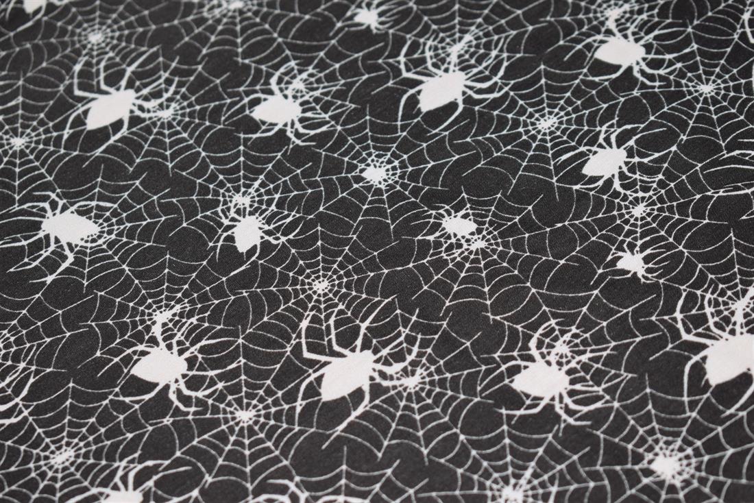 Black & White Spider Web Print