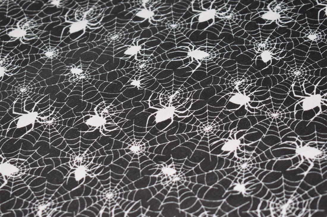 Black & White Spider Web Print