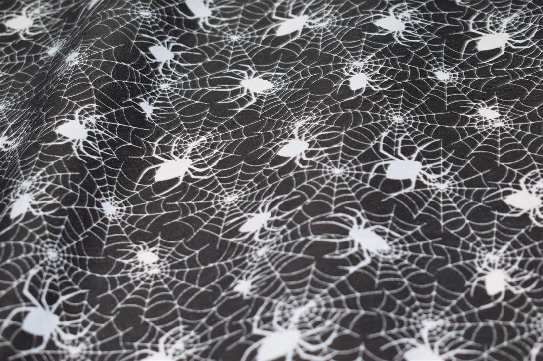 Black & White Spider Web Print