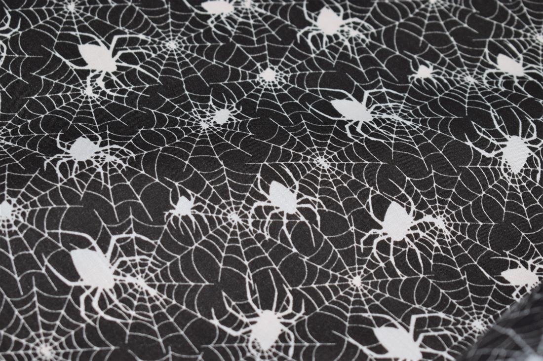 Black & White Spider Web Print