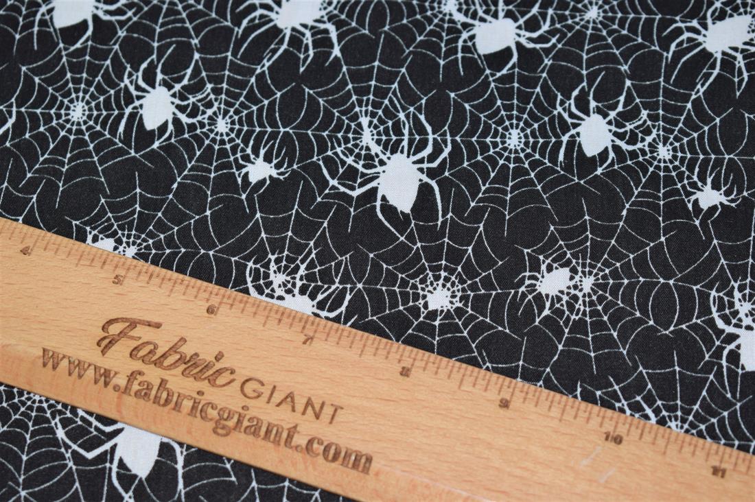 Black & White Spider Web Print