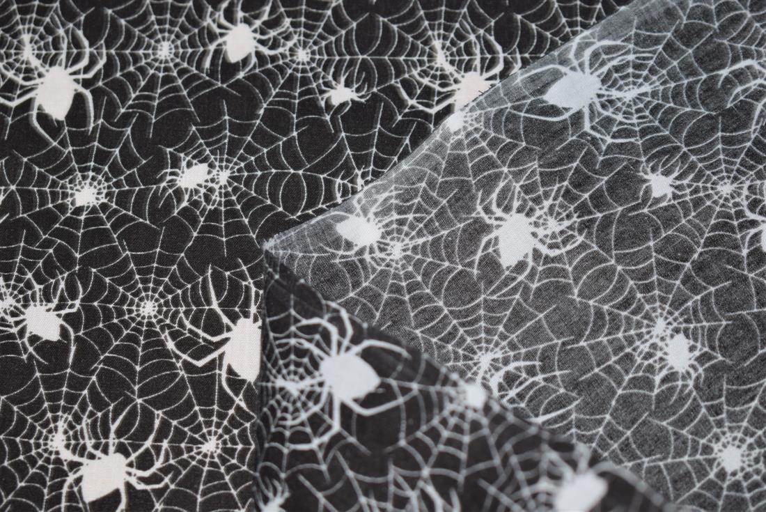 Black & White Spider Web Print