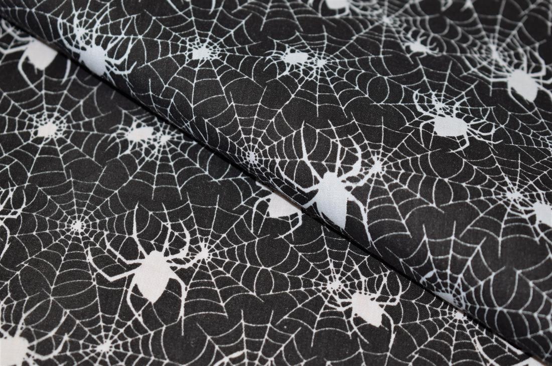 Black & White Spider Web Print