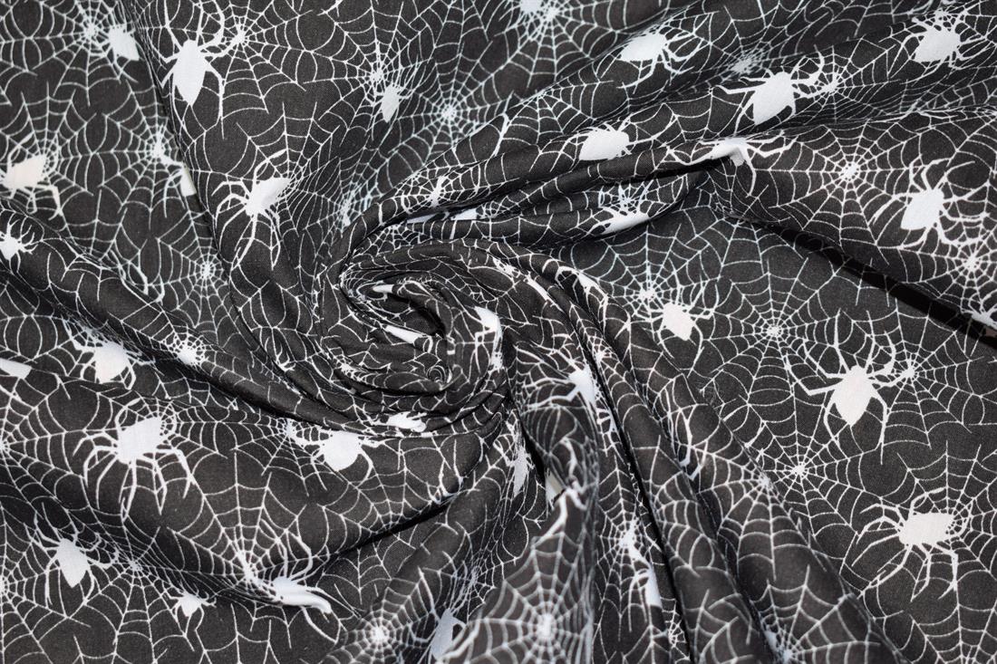 Black & White Spider Web Print