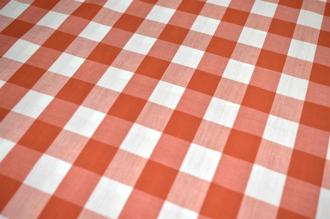 Light Rust Printed Gingham Polycotton Fabric