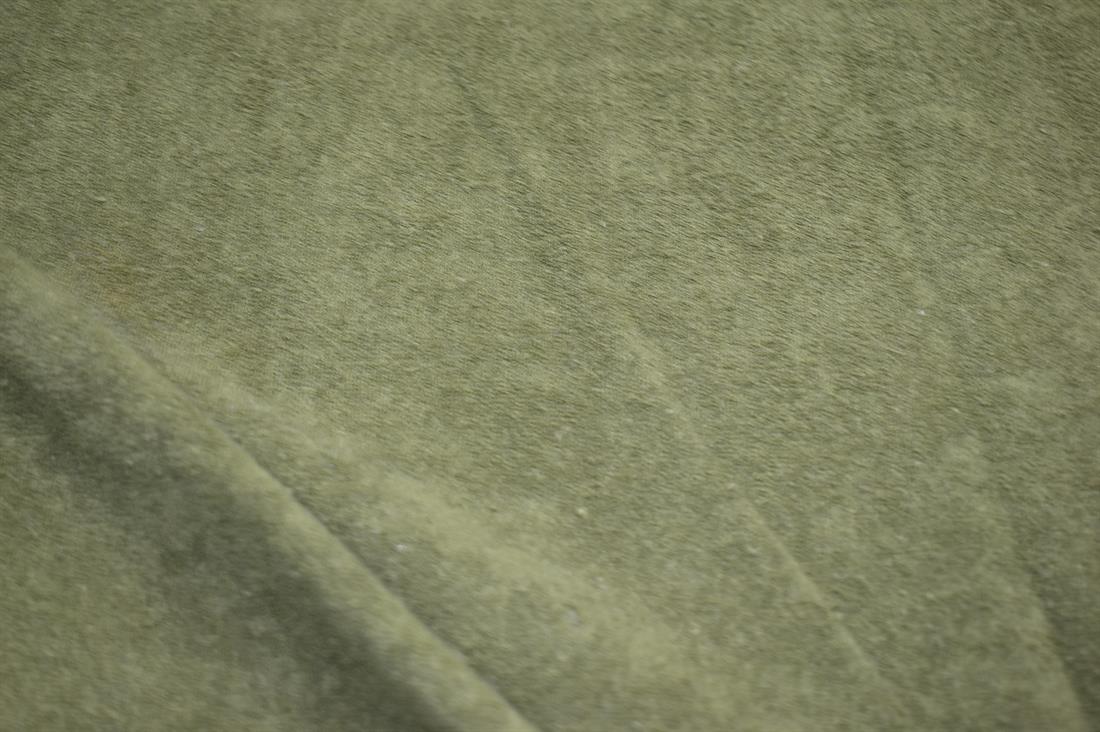 Olive & Green Plain Polyester Jersey Fabric