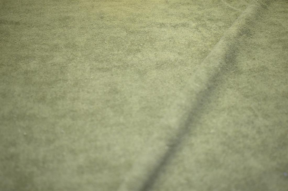 Olive Green Plain Polyester Jersey Fabric