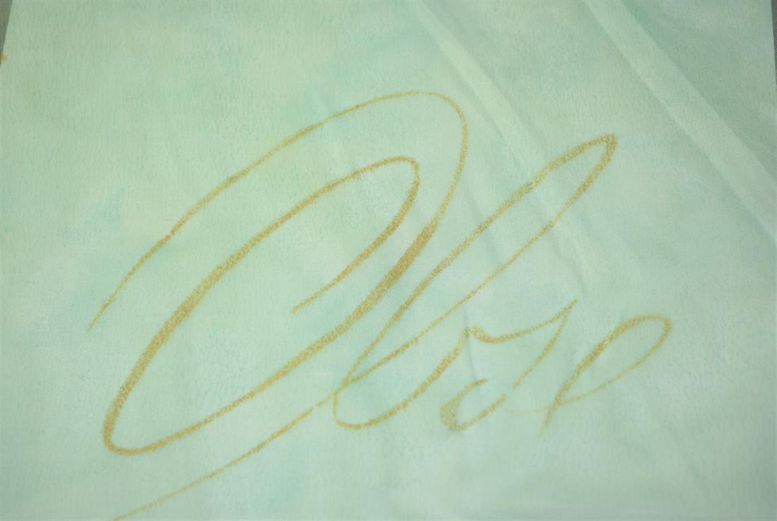 Aqua Printed Net Fabric