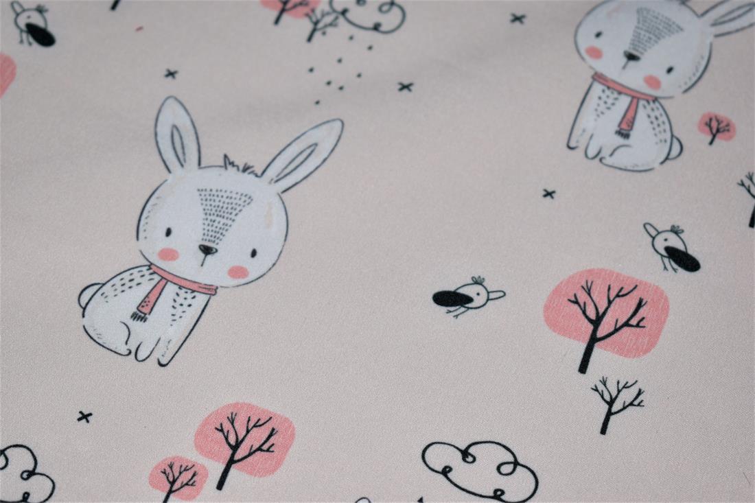 Beige Bunny Rabbit Soft Shell Thinking of Getting Into Hip-hop? Then…