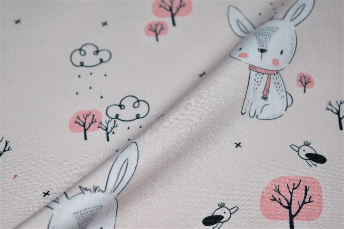 Beige Bunny Rabbit Soft Shell Thinking of Getting Into Hip-hop? Then…