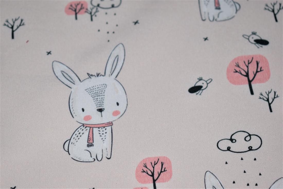 Beige Bunny Rabbit Soft Shell Thinking of Getting Into Hip-hop? Then…