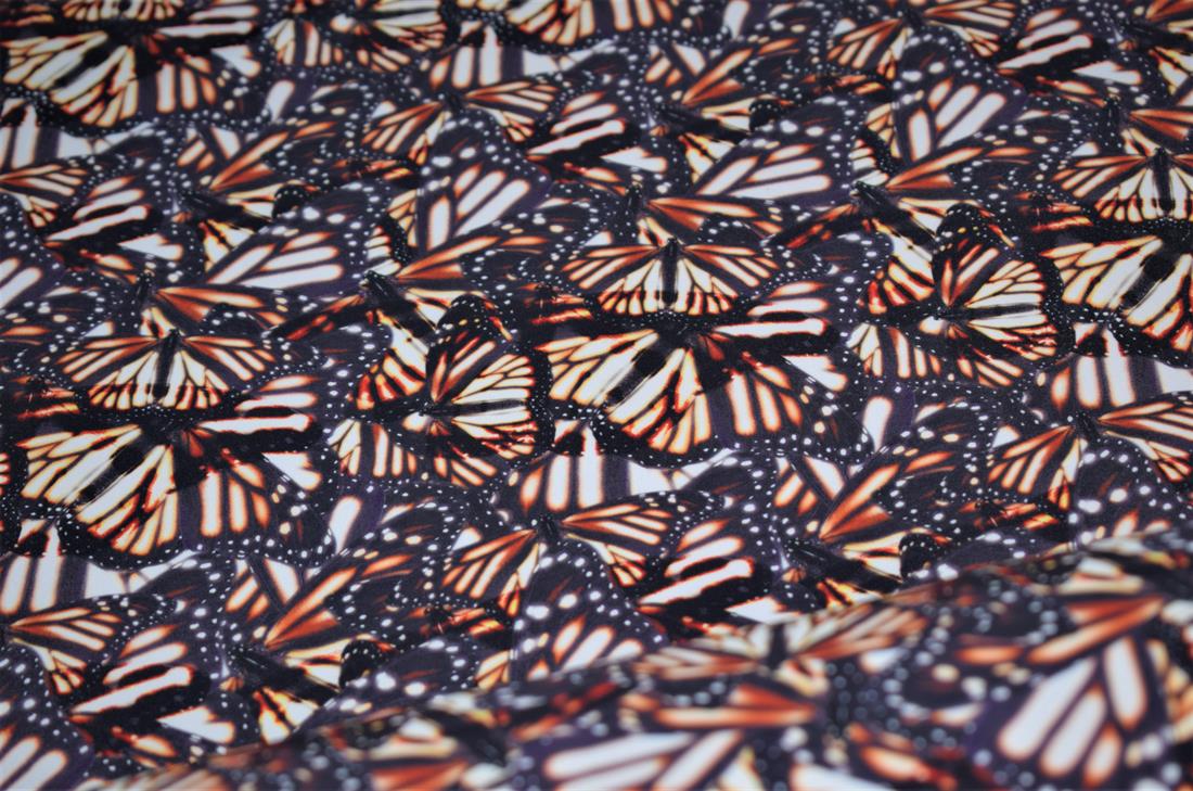 Dark Grey Butterfly Prin