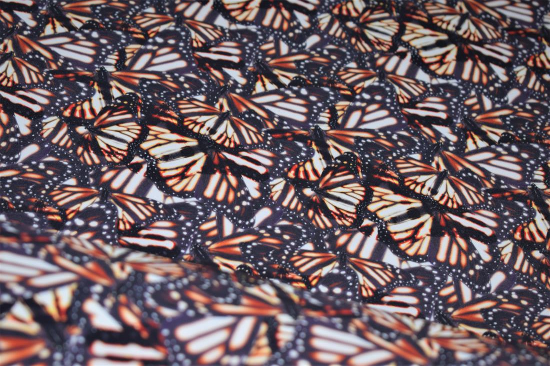 Dark Grey Butterfly Prin