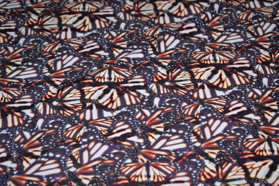 Dark Grey Butterfly Prin