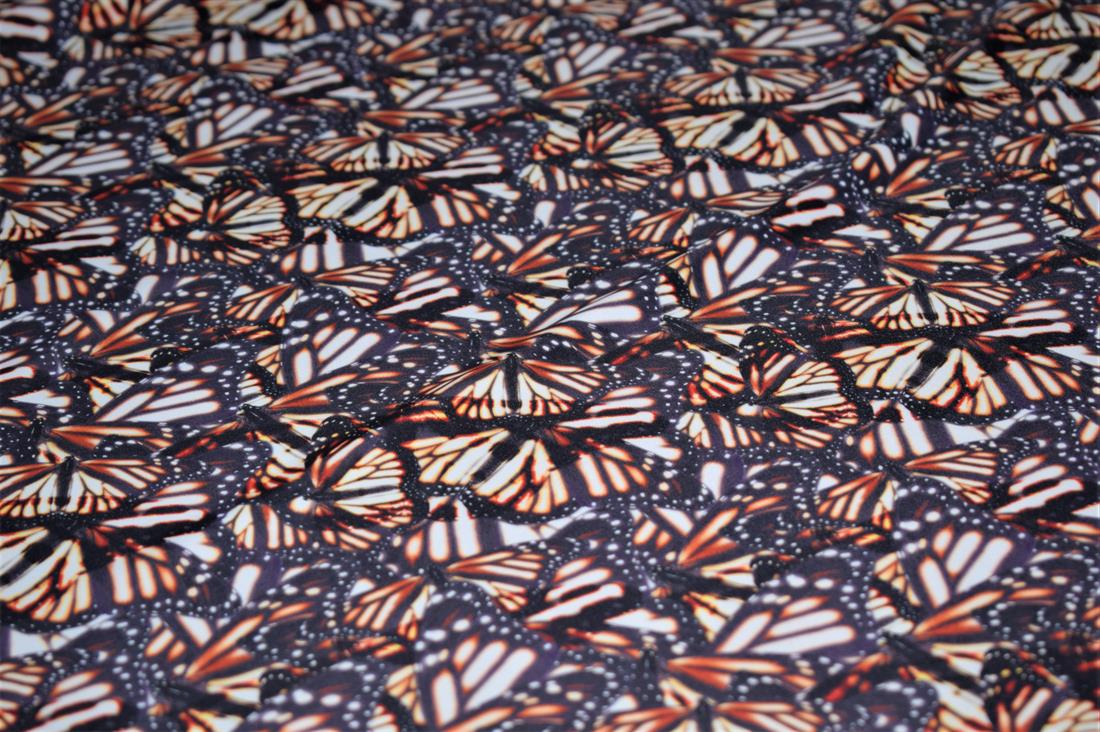 Dark Grey Butterfly Prin