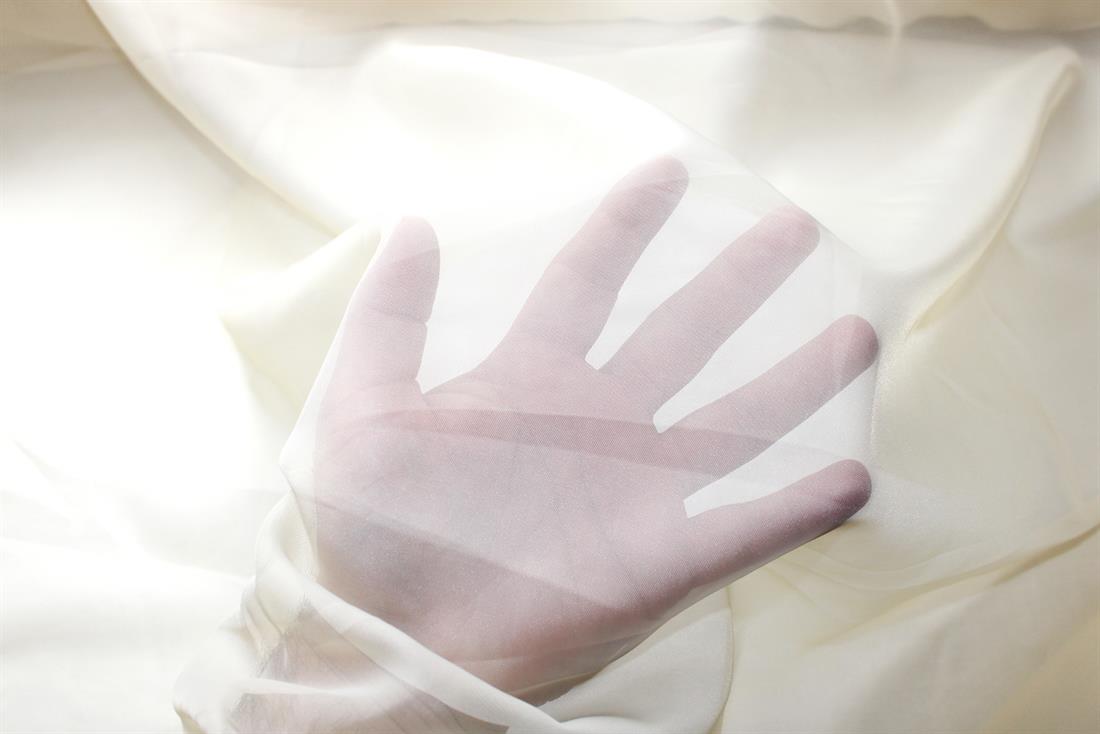 Voile 150cm Wide