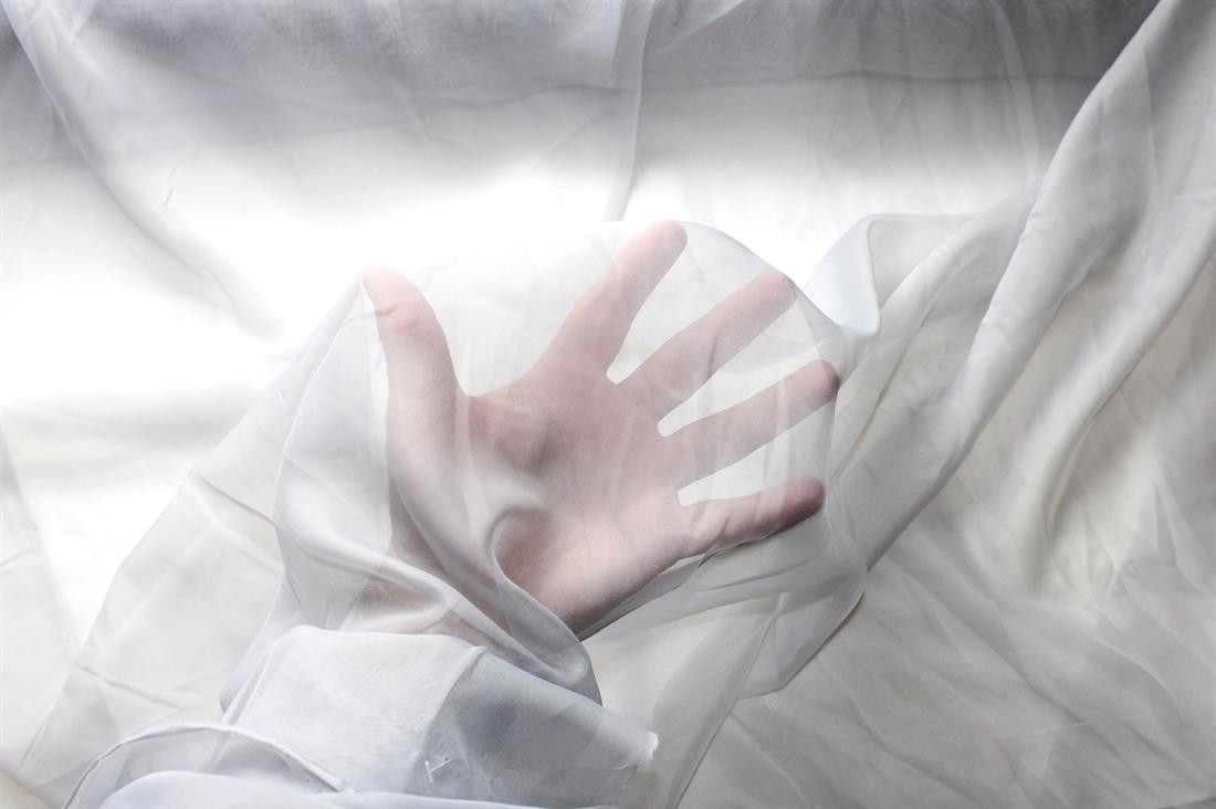 Voile 150cm Wide